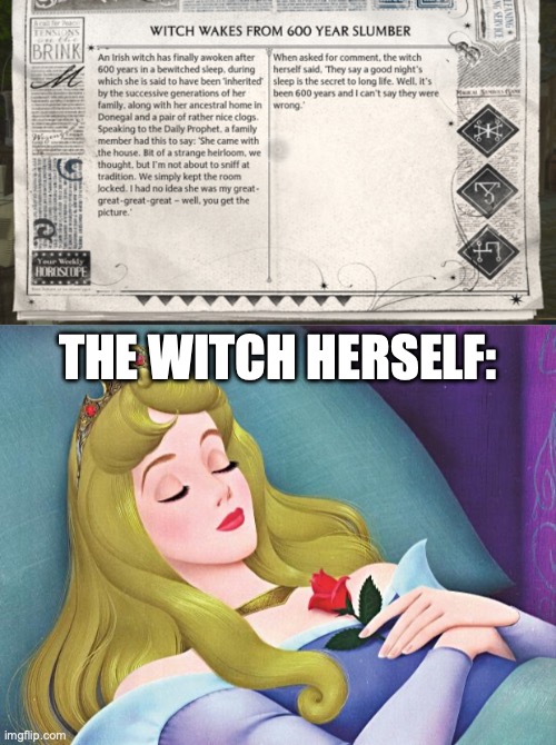 The Hogwart's Legacy DP is pretty cool! | THE WITCH HERSELF: | image tagged in sleeping beauty,hogwarts,harry potter,disney,hogwarts legacy | made w/ Imgflip meme maker