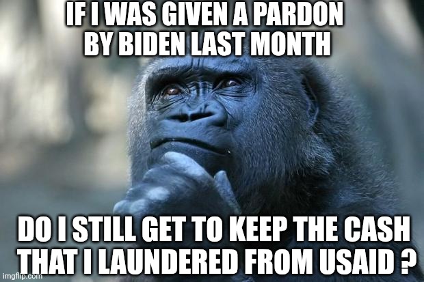 No deposit, No return ? | IF I WAS GIVEN A PARDON
 BY BIDEN LAST MONTH; DO I STILL GET TO KEEP THE CASH
 THAT I LAUNDERED FROM USAID ? | image tagged in deep thoughts,leftists,liberals,democrats,biden | made w/ Imgflip meme maker