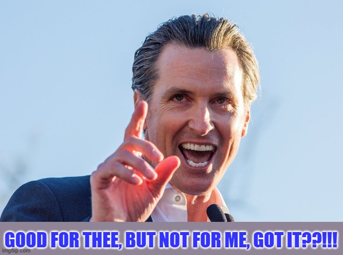 Insane Idiot Gavin Newsom | GOOD FOR THEE, BUT NOT FOR ME, GOT IT??!!! | image tagged in insane idiot gavin newsom | made w/ Imgflip meme maker