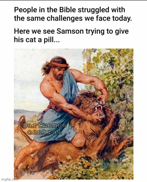 Prehistoric pills I guess idk | image tagged in bible,cats | made w/ Imgflip meme maker