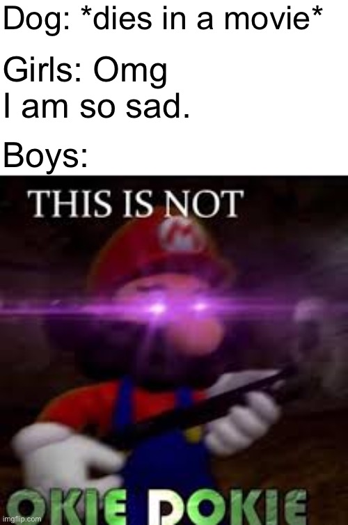 This is not okie dokie | Dog: *dies in a movie*; Girls: Omg I am so sad. Boys: | image tagged in this is not okie dokie,mario,smg4,boys vs girls | made w/ Imgflip meme maker