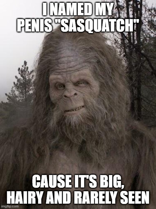 What's in a Name? | I NAMED MY PENIS "SASQUATCH"; CAUSE IT'S BIG, HAIRY AND RARELY SEEN | image tagged in sasquatch | made w/ Imgflip meme maker
