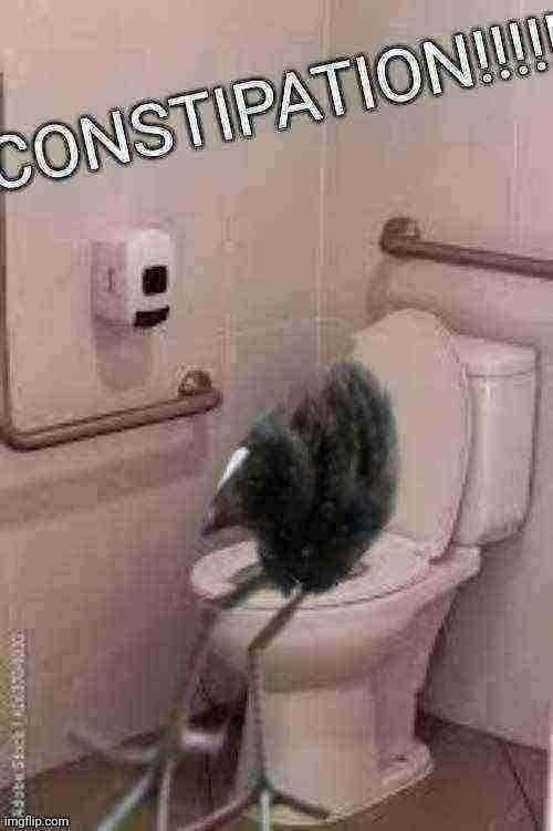 CONSTIPATION!!!!! | image tagged in constipation,damn,damn bird | made w/ Imgflip meme maker