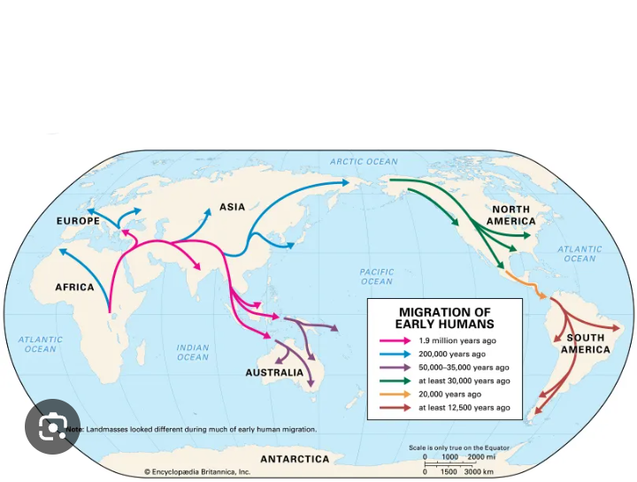 Migration map Blank Meme Template