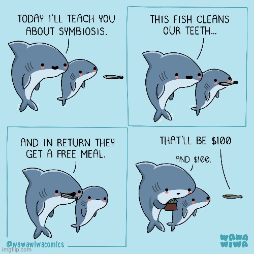 $100 | image tagged in symbiosis,fish,meal,teeth,comics,comics/cartoons | made w/ Imgflip meme maker