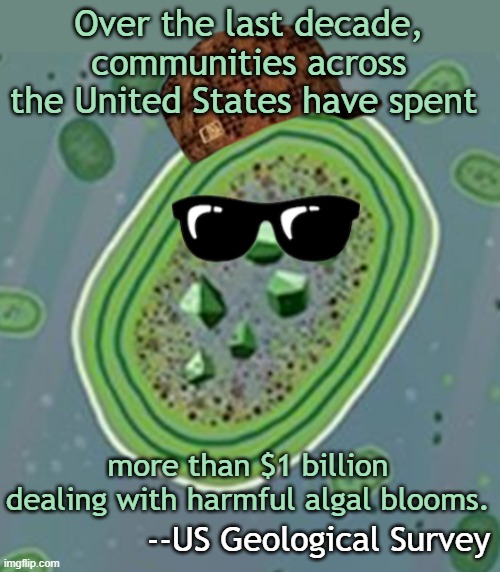 The little stuff really adds up. Also, don't underestimate nature. | Over the last decade, communities across the United States have spent; more than $1 billion dealing with harmful algal blooms. --US Geological Survey | image tagged in scumbag cyanobacteria,money,nature,wisdom | made w/ Imgflip meme maker