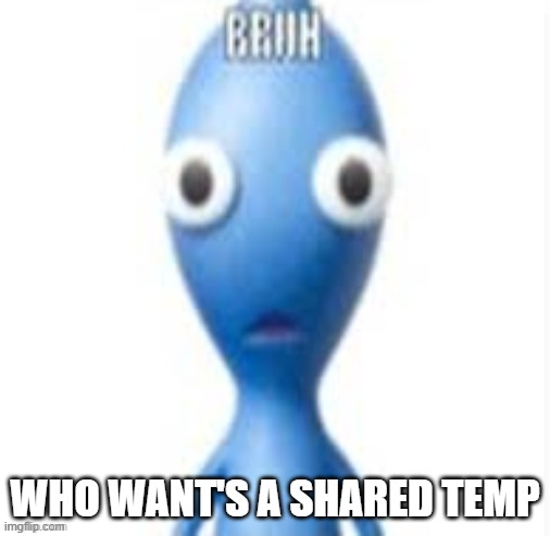 BRUH | WHO WANT'S A SHARED TEMP | image tagged in bruh | made w/ Imgflip meme maker