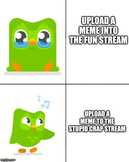 Duolingo Drake meme | UPLOAD A MEME INTO THE FUN STREAM; UPLOAD A MEME TO THE STUPID CRAP STREAM | image tagged in duolingo drake meme | made w/ Imgflip meme maker