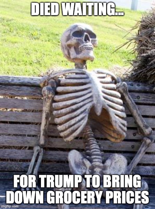 Trump grocery prices | DIED WAITING... FOR TRUMP TO BRING DOWN GROCERY PRICES | image tagged in donald trump,groceries,prices,republicans,right wing,maga | made w/ Imgflip meme maker