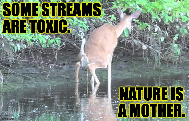 SOME STREAMS ARE TOXIC. NATURE IS
A MOTHER. | made w/ Imgflip meme maker