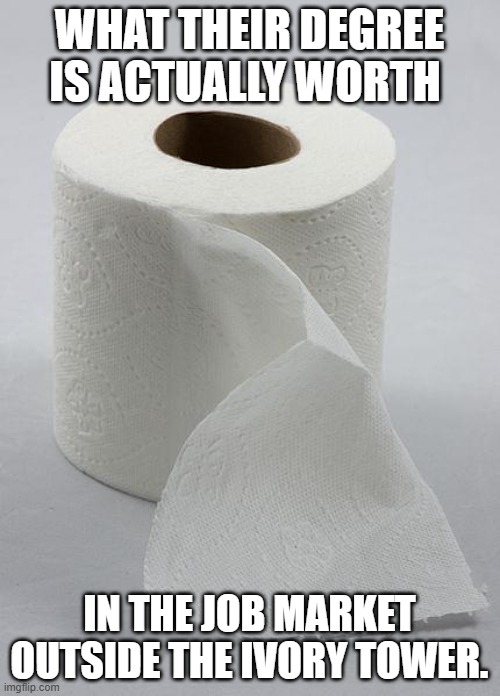 toilet paper | WHAT THEIR DEGREE IS ACTUALLY WORTH IN THE JOB MARKET OUTSIDE THE IVORY TOWER. | image tagged in toilet paper | made w/ Imgflip meme maker