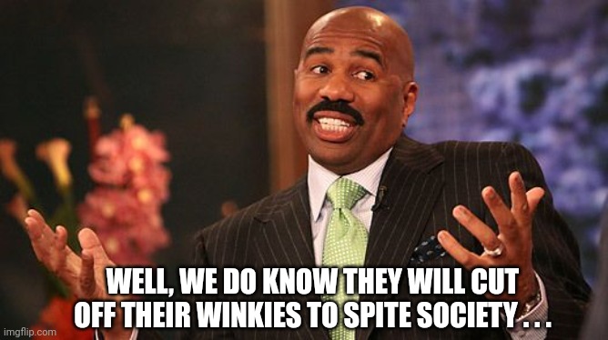 shrug | WELL, WE DO KNOW THEY WILL CUT OFF THEIR WINKIES TO SPITE SOCIETY . . . | image tagged in shrug | made w/ Imgflip meme maker