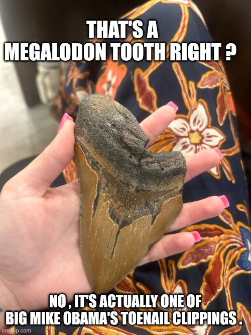 big mike meme | THAT'S A MEGALODON TOOTH RIGHT ? NO , IT'S ACTUALLY ONE OF BIG MIKE OBAMA'S TOENAIL CLIPPINGS . | image tagged in michelle obama | made w/ Imgflip meme maker