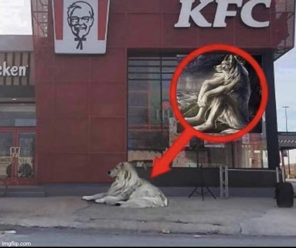 Kfc | image tagged in dawg,kfc | made w/ Imgflip meme maker