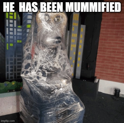 jasper has been mummified | HE  HAS BEEN MUMMIFIED | image tagged in meme | made w/ Imgflip meme maker