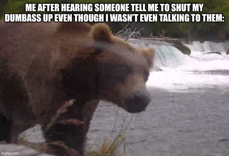 Yep, don’t know why they said that even though I didn’t include them | ME AFTER HEARING SOMEONE TELL ME TO SHUT MY DUMBASS UP EVEN THOUGH I WASN’T EVEN TALKING TO THEM: | image tagged in side eye bear meme | made w/ Imgflip meme maker