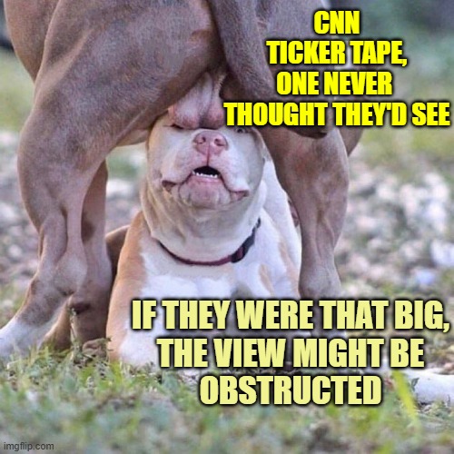 Dog eye closed with testicles | CNN
TICKER TAPE,
ONE NEVER 
THOUGHT THEY'D SEE; IF THEY WERE THAT BIG,
THE VIEW MIGHT BE
OBSTRUCTED | image tagged in dog eye closed with testicles | made w/ Imgflip meme maker