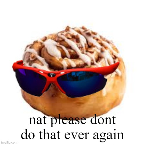 cool ass cinnamon bun | nat please dont do that ever again | image tagged in cool ass cinnamon bun | made w/ Imgflip meme maker