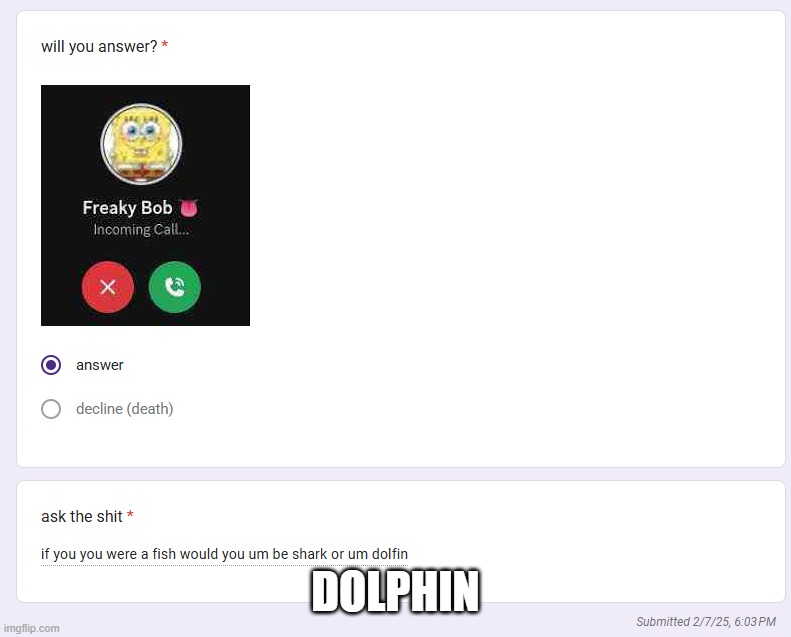 DOLPHIN | made w/ Imgflip meme maker