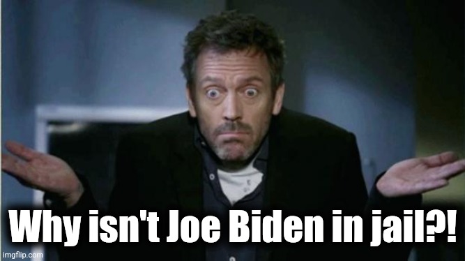 SHRUG | Why isn't Joe Biden in jail?! | image tagged in shrug | made w/ Imgflip meme maker