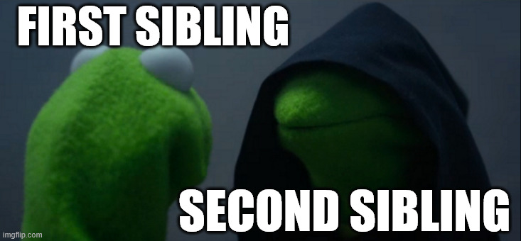 Evil Kermit | FIRST SIBLING; SECOND SIBLING | image tagged in memes,evil kermit | made w/ Imgflip meme maker