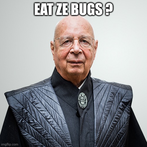 Klaus Von Commie Schnitzel says Eat Ze Bugs | EAT ZE BUGS ? | image tagged in klaus von commie schnitzel says eat ze bugs | made w/ Imgflip meme maker