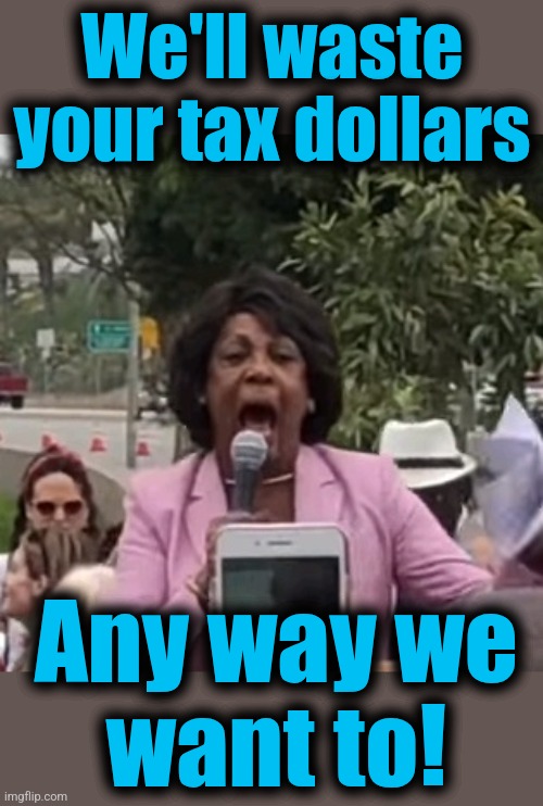 Maxine Waters | We'll waste your tax dollars Any way we
want to! | image tagged in maxine waters | made w/ Imgflip meme maker