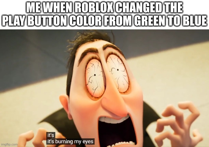 why tho | ME WHEN ROBLOX CHANGED THE PLAY BUTTON COLOR FROM GREEN TO BLUE | image tagged in it's burning my eyes,eyes,roblox,play,play roblox,green | made w/ Imgflip meme maker