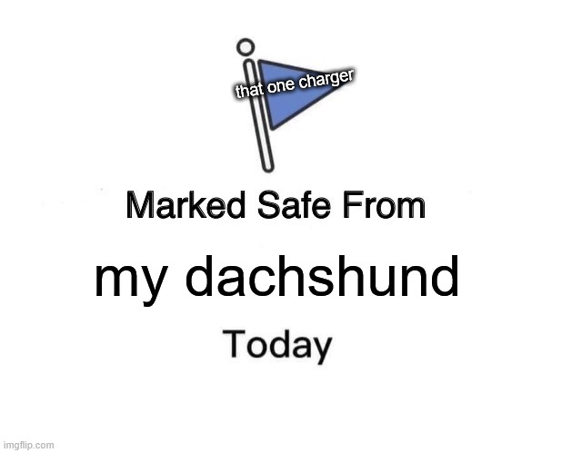 Marked Safe From | that one charger; my dachshund | image tagged in memes,marked safe from,dogs | made w/ Imgflip meme maker