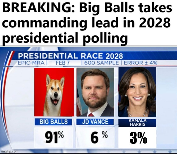 2028 Big Balls for President Poll | 3% | image tagged in potus,polls,election,doge,elon musk,maga | made w/ Imgflip meme maker