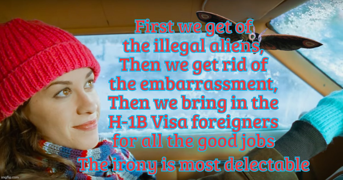 President Elon wants to get rid of the MAGA element because he finds them to be something of an "embarrassment" | First we get of
the illegal aliens,
Then we get rid of
the embarrassment,
Then we bring in the
H-1B Visa foreigners
for all the good jobs; The irony is most delectable | image tagged in alanis morissette,ironic,get rid of the illegals,get rid of the magas,hire h-1b foreigners,oh  the irony | made w/ Imgflip meme maker