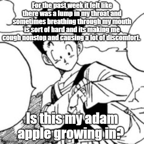 For the past week it felt like there was a lump in my throat and sometimes breathing through my mouth is sort of hard and its making me cough nonstop and causing a lot of discomfort. Is this my adam apple growing in? | made w/ Imgflip meme maker