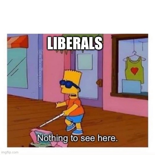 blind bart simpson | LIBERALS | image tagged in blind bart simpson | made w/ Imgflip meme maker