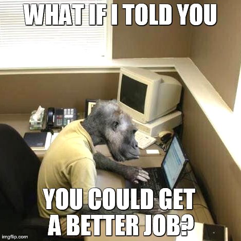 Monkey Business | WHAT IF I TOLD YOU YOU COULD GET A BETTER JOB? | image tagged in memes,monkey business | made w/ Imgflip meme maker