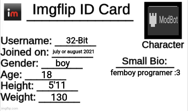 . | 32-Bit; july or august 2021; boy; femboy programer :3; 18; 5'11; 130 | image tagged in imgflip id card | made w/ Imgflip meme maker