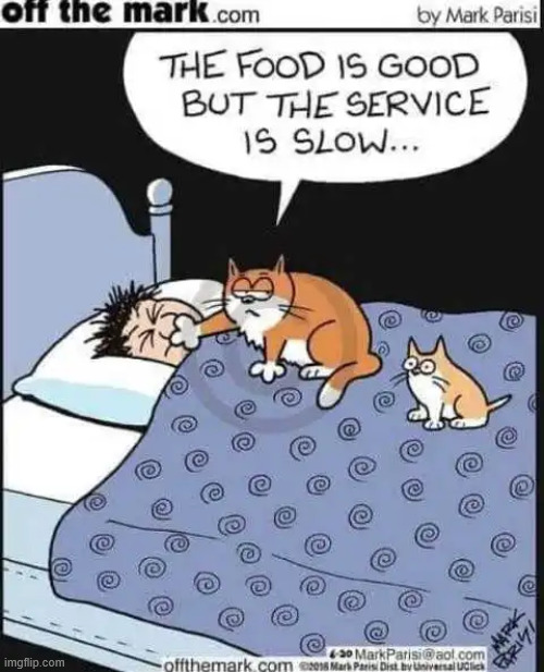 The service is slow | image tagged in repost,slow service | made w/ Imgflip meme maker