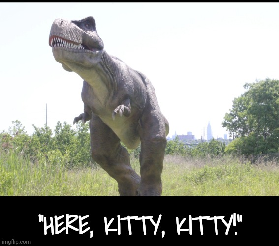 "HERE, KITTY, KITTY!" | made w/ Imgflip meme maker