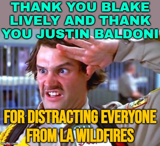 Thank You Blake Lively And Justin Baldoni For Distracting Everyone From LA Wildfires | THANK YOU BLAKE LIVELY AND THANK YOU JUSTIN BALDONI; FOR DISTRACTING EVERYONE
FROM LA WILDFIRES | image tagged in tyfys,los angeles,california fires,california,breaking news,celebrities | made w/ Imgflip meme maker