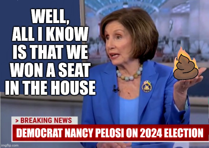 Former House Speaker Nancy Pelosi, D-Calif., defends her role in the 2024 Presidential Election During MSNBC Interview | WELL, ALL I KNOW IS THAT WE WON A SEAT IN THE HOUSE; DEMOCRAT NANCY PELOSI ON 2024 ELECTION | image tagged in nancy pelosi lies,biased media,politicians,poop,lols | made w/ Imgflip meme maker