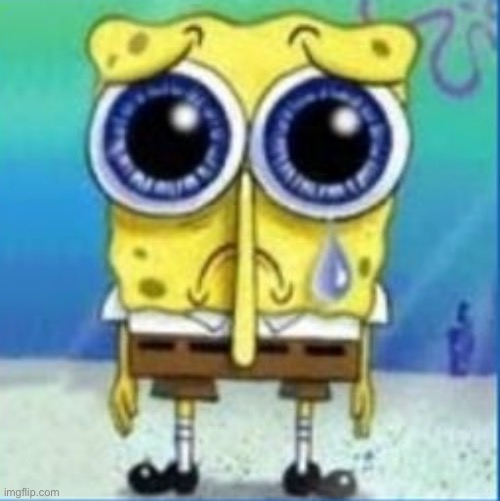 Sad Spongebob | image tagged in sad spongebob | made w/ Imgflip meme maker