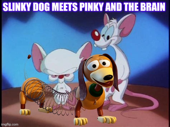 Slinky Dog Meets Pinky And The Brain | SLINKY DOG MEETS PINKY AND THE BRAIN | image tagged in toy story,pinky and the brain,warner bros,disney,pixar | made w/ Imgflip meme maker