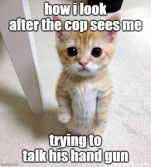 Cute Cat | how i look after the cop sees me; trying to talk his hand gun | image tagged in memes,cute cat,funny memes | made w/ Imgflip meme maker