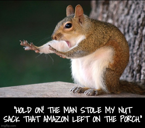 "HOLD ON! THE MAN STOLE MY NUT SACK THAT AMAZON LEFT ON THE PORCH." | made w/ Imgflip meme maker