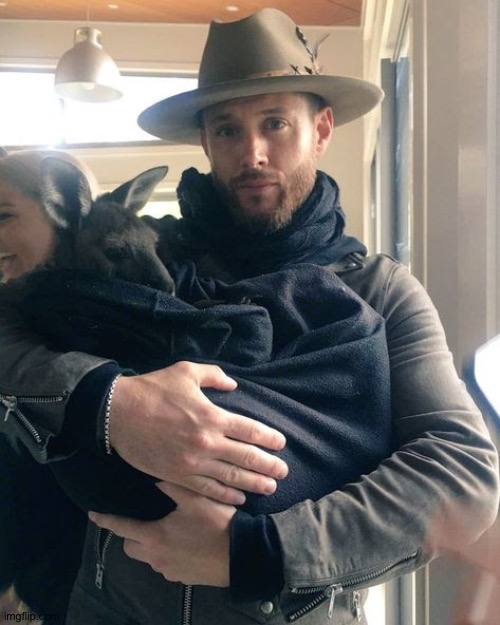 CUTIEEEEESS!!!!! | image tagged in if you hate on this image,you are a sadist,this is adorable,even a satanist would know that,jensen ackles,baby kangaroo | made w/ Imgflip meme maker