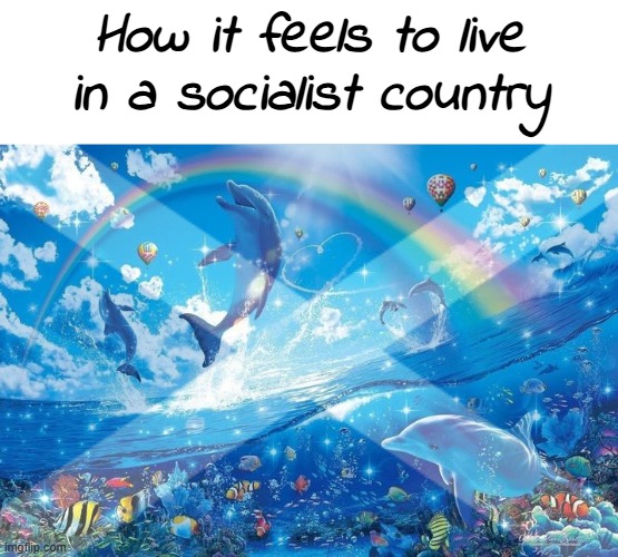 I love the NHS | How it feels to live in a socialist country | image tagged in happy dolphin rainbow | made w/ Imgflip meme maker