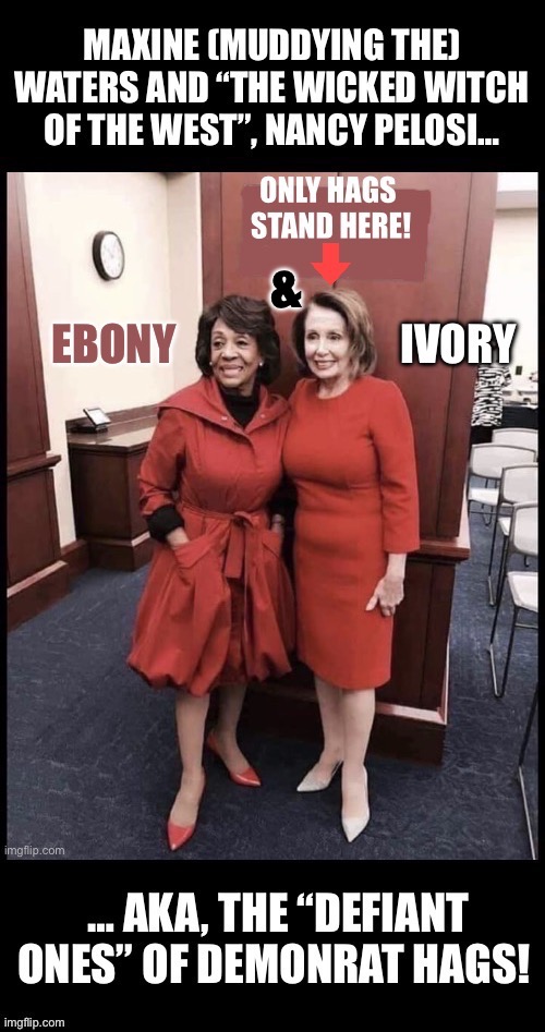 A couple of hags… | & | image tagged in political meme | made w/ Imgflip meme maker