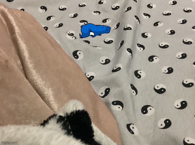 what is this SPECIMEN doing in my house and why is he SUCKLING on my BEDSHEETS | made w/ Imgflip meme maker