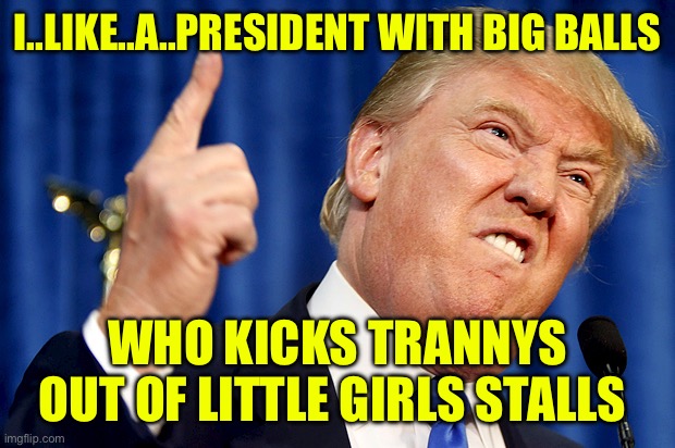 Donald Trump | I..LIKE..A..PRESIDENT WITH BIG BALLS; WHO KICKS TRANNYS OUT OF LITTLE GIRLS STALLS | image tagged in donald trump,big,balls,doge,maga,womens rights | made w/ Imgflip meme maker