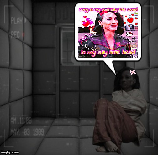 Padded cell | image tagged in padded cell | made w/ Imgflip meme maker