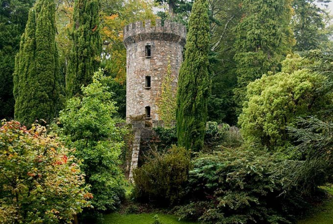 Powerscourt Tower, Enniskerry, Co Wicklow, Ireland. P by Bruce G Blank Meme Template